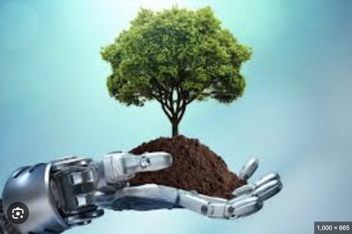 Environmental Impact of AI